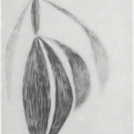 "Drawings from the 1950s," Summer 1984 "Drawings from the 1950s," Summer 1984