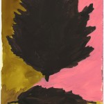 Black Hawthorn