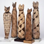Animal Mummies