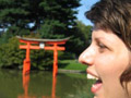 charlotte_strick_THUMB