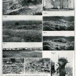 OED_camoplate1_1922
