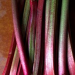 Rhubarb
