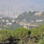 1237116_com_pinebeirut