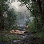 beneath-the-roses-0308-lg