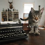 hemingwaycat1