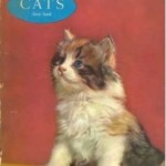 LOL Cats