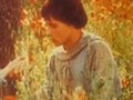 brother_sun_sister_moonthumb
