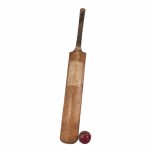 cricket-bat-and-ball-mp1016