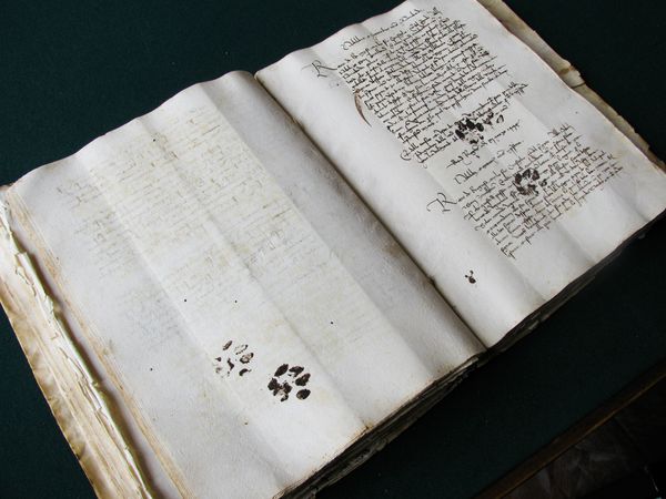 medieval-manuscript-cat-paw-prints_65668_600x450