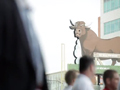 Bull-City-Film-Thumb