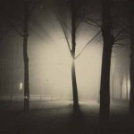 Bauhaus by Night