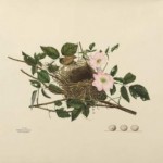 A Labor of Love, Resurrected