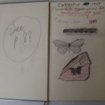 Document: Nabokov’s Notes