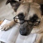 Reading Dogs, Biblical Judges, Myers-Briggs