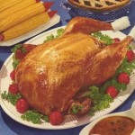 Rejections, Slush, and Turkeys: Happy Monday! 