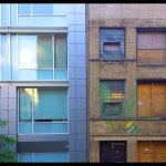 Staff Picks: Country Life, City Life, Future Life