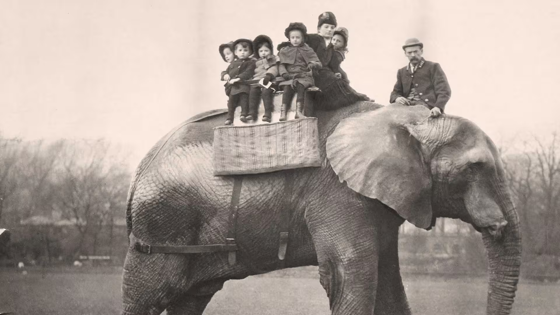 Death at the Zoo