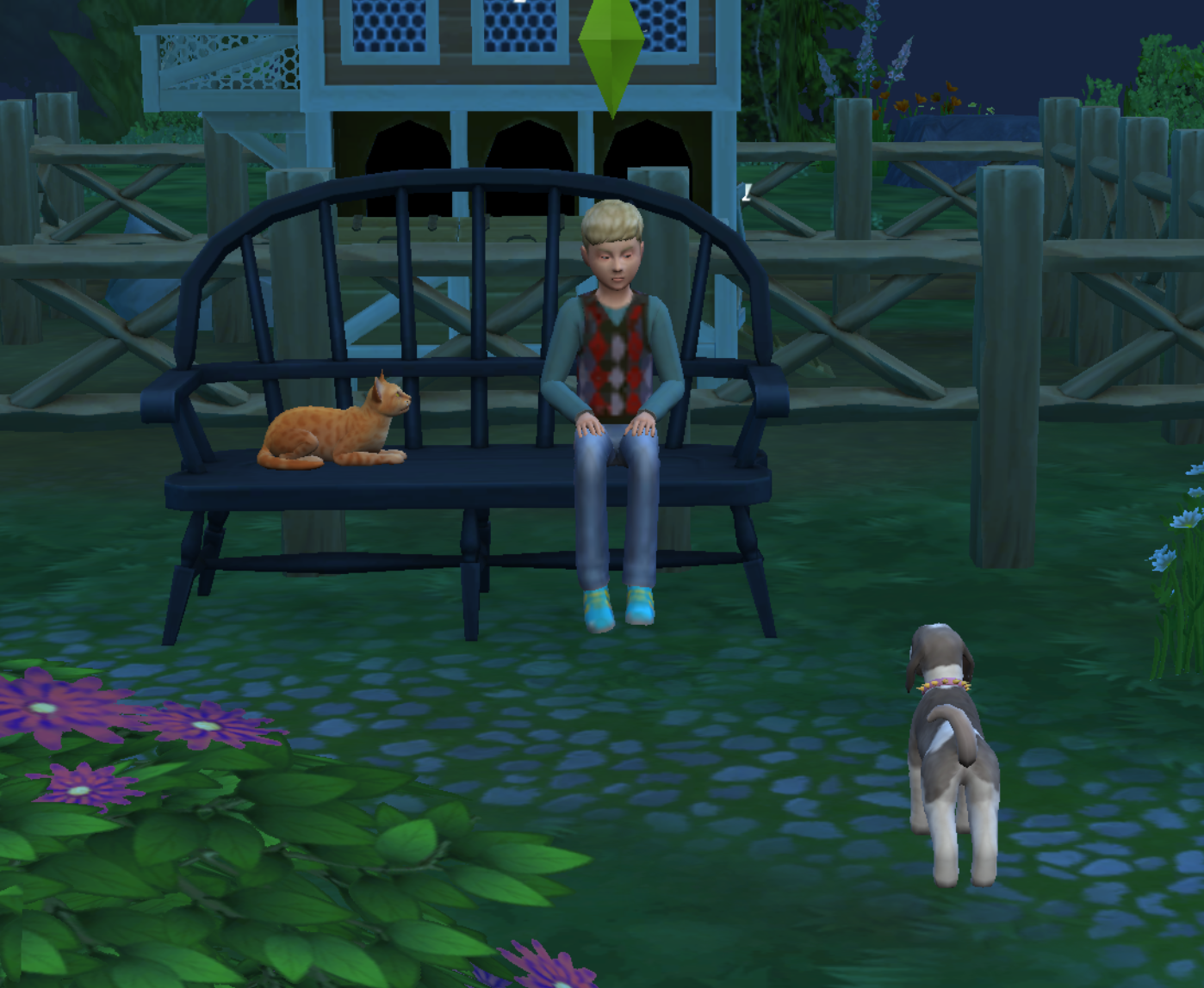 Sims Diary