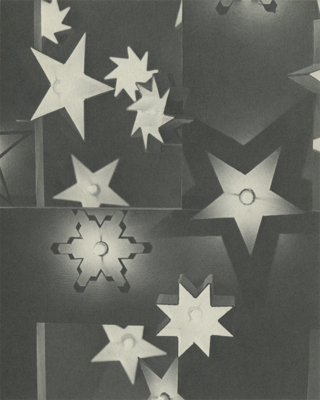 Notes from a Hedgehog