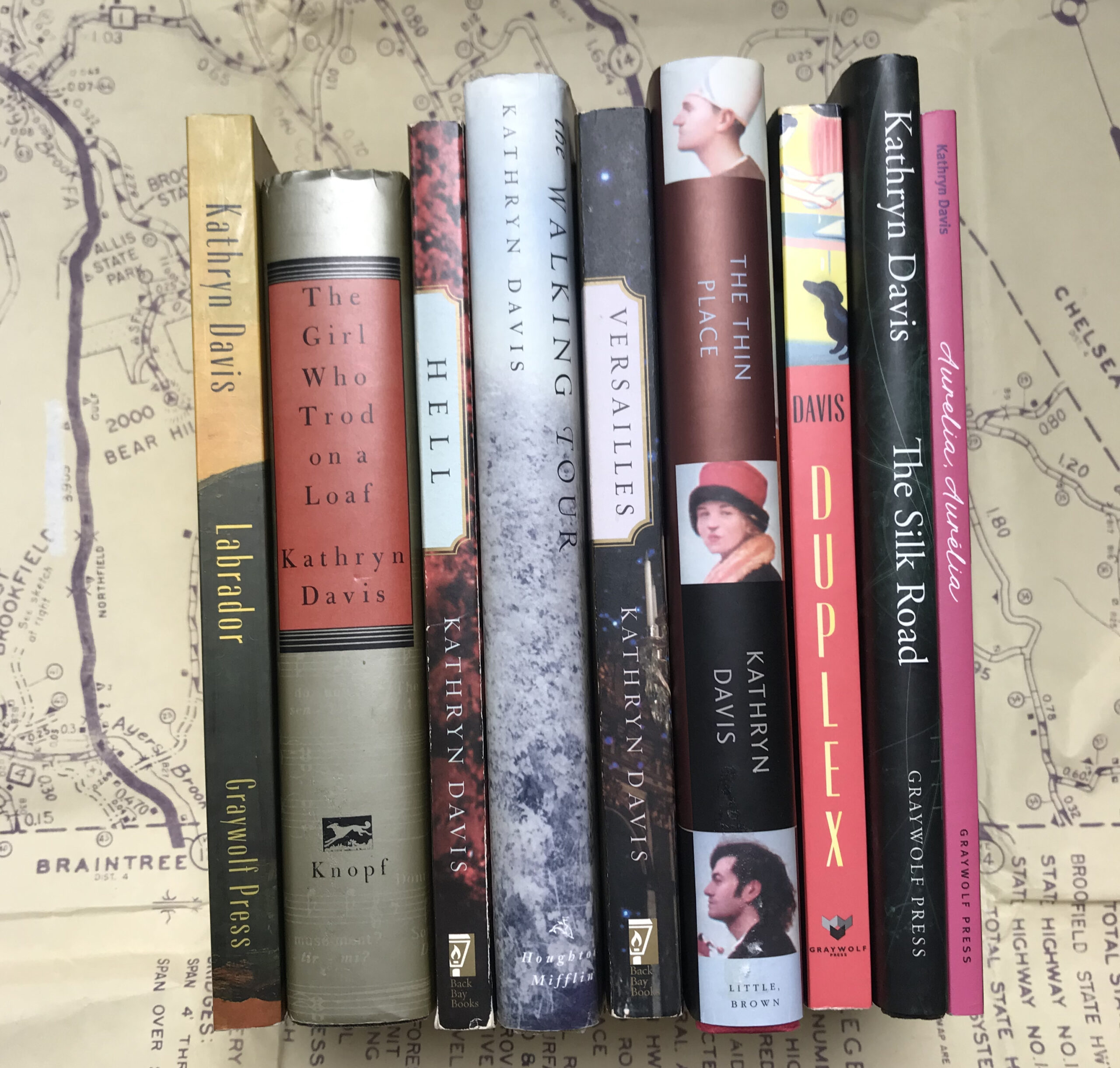 The Visionary Company of Kathryn Davis