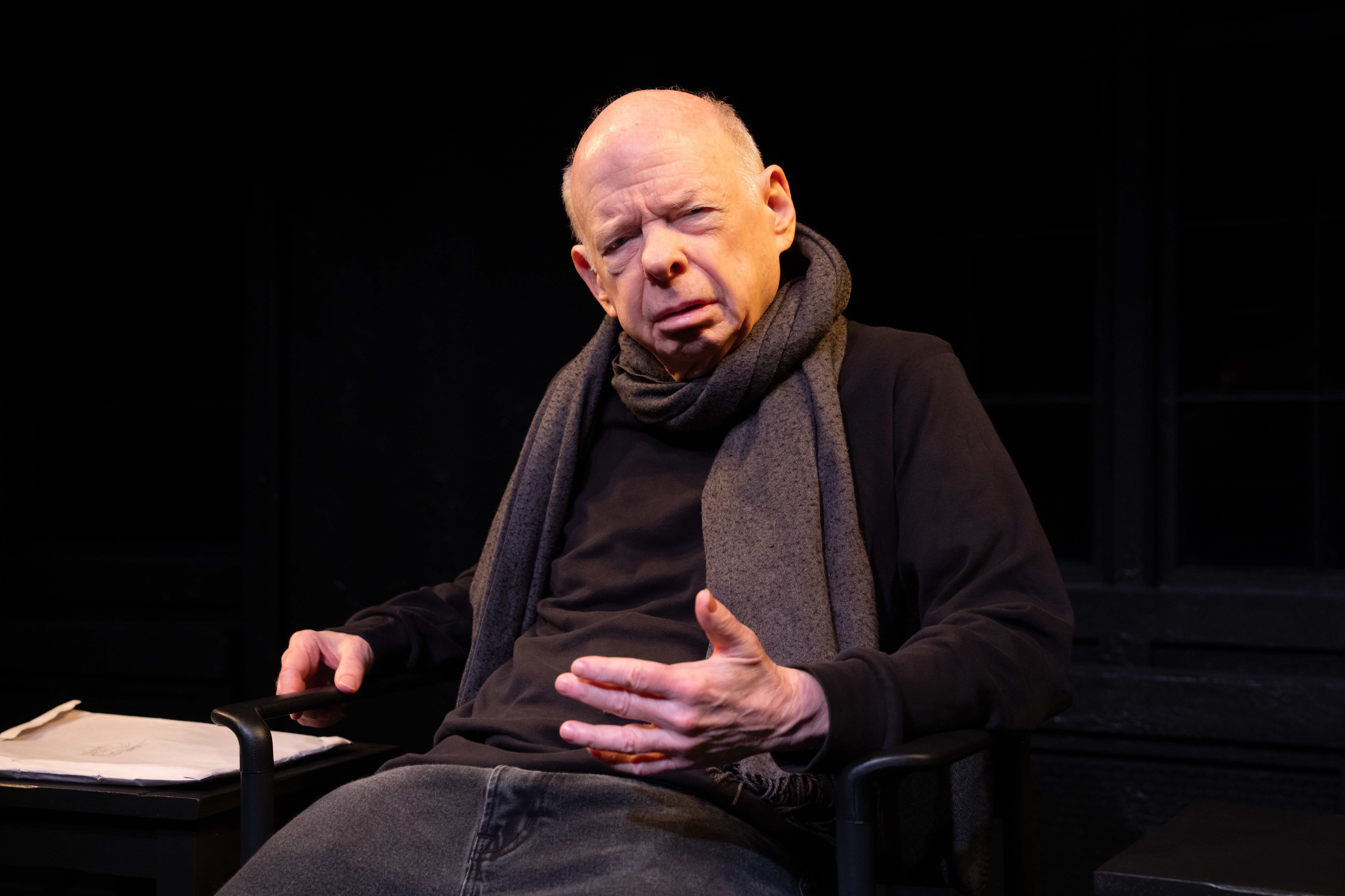 In "Mutual Analysis" with Wallace Shawn’s <em>Moth Days</em>