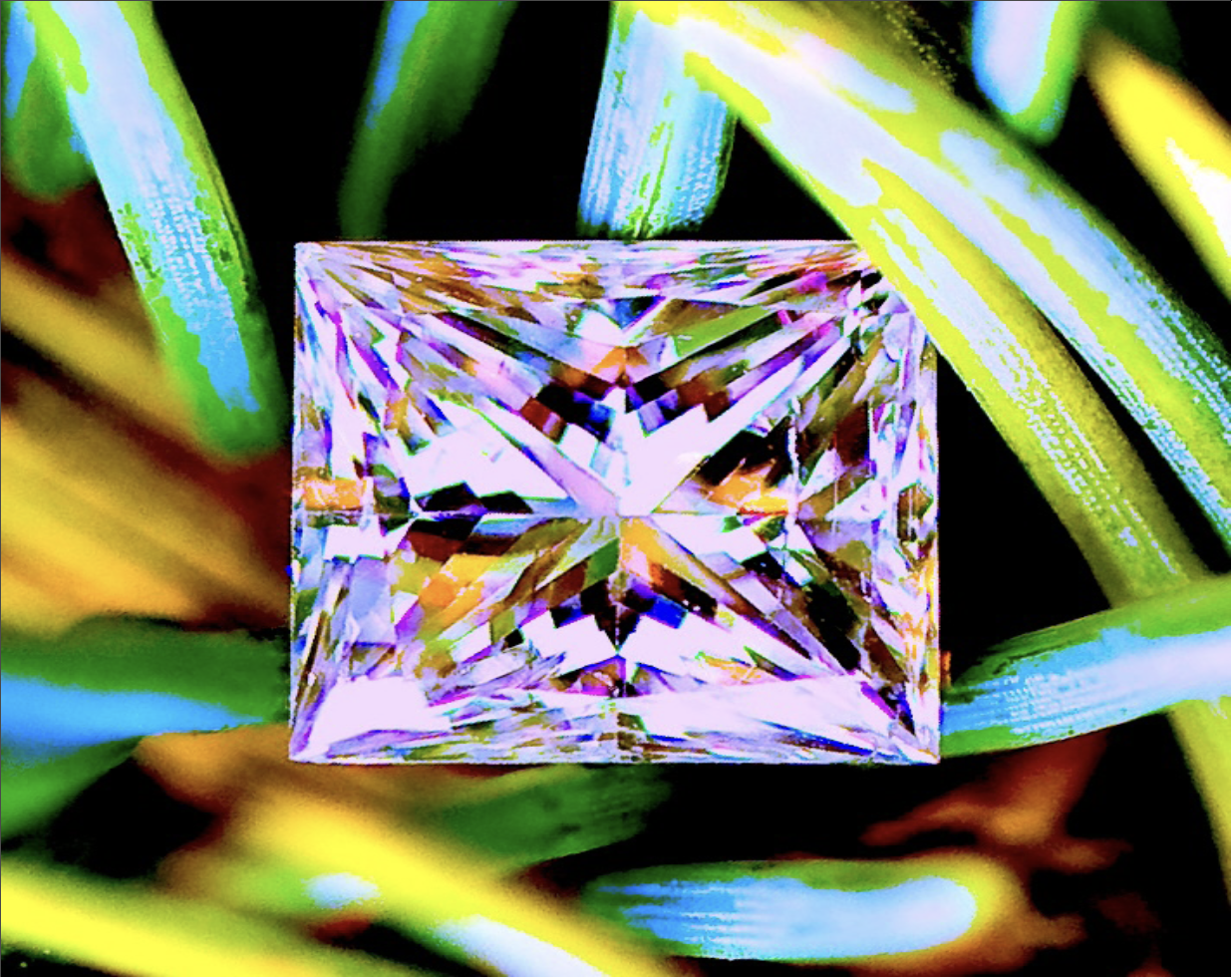 What Is Poetry? Chelsey Minnis’s Frying Pan Full of Diamonds