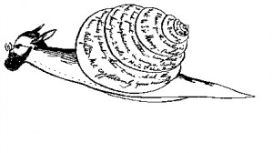 A Snail’s Pace by Casey N. Cep