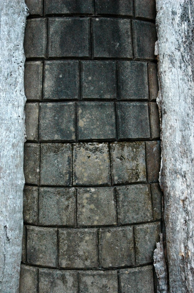 A bricked-in tree at Mepkin Gardens.
