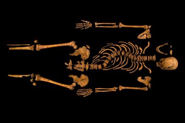 The skeleton of Richard III, which was discovered at the Grey Friars excavation site in Leicester, central England, is seen in this photograph provided by the University of Leicester and received in London