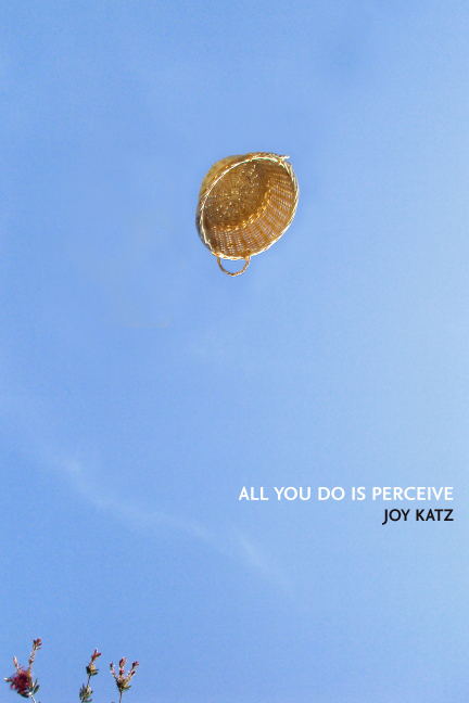 Joy Katz front cover