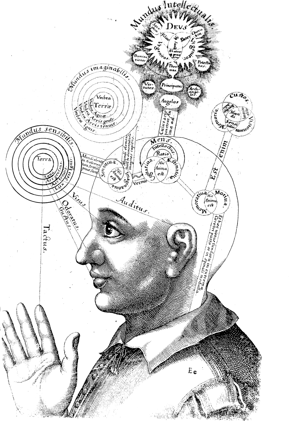 Both Sides of Your Brain, Both Sides of the Pond by The Paris Review