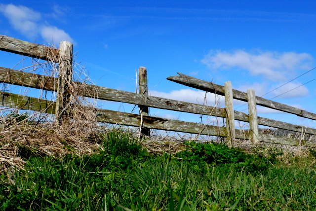 Broken_Fence_on_White_Hill_-_geograph.org.uk_-_1218674