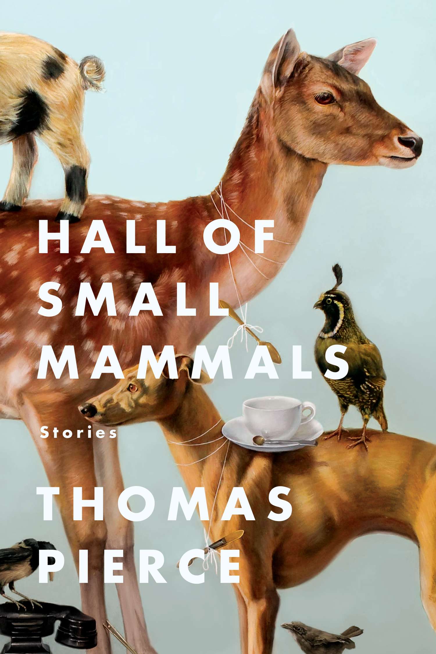 Hall_of_Small_Mammals