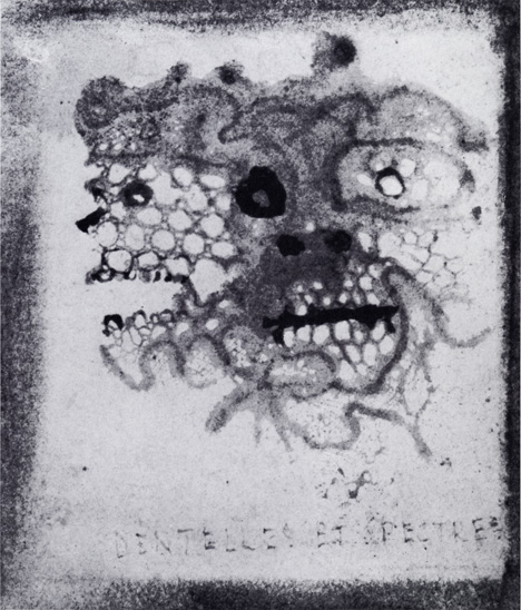 Victor_Hugo-Lace_and_Ghosts-c_1855-6-Wash_(lace_imprint)_and_ink-6.5x6cm-Maison_de_Victor_Hugo_Paris