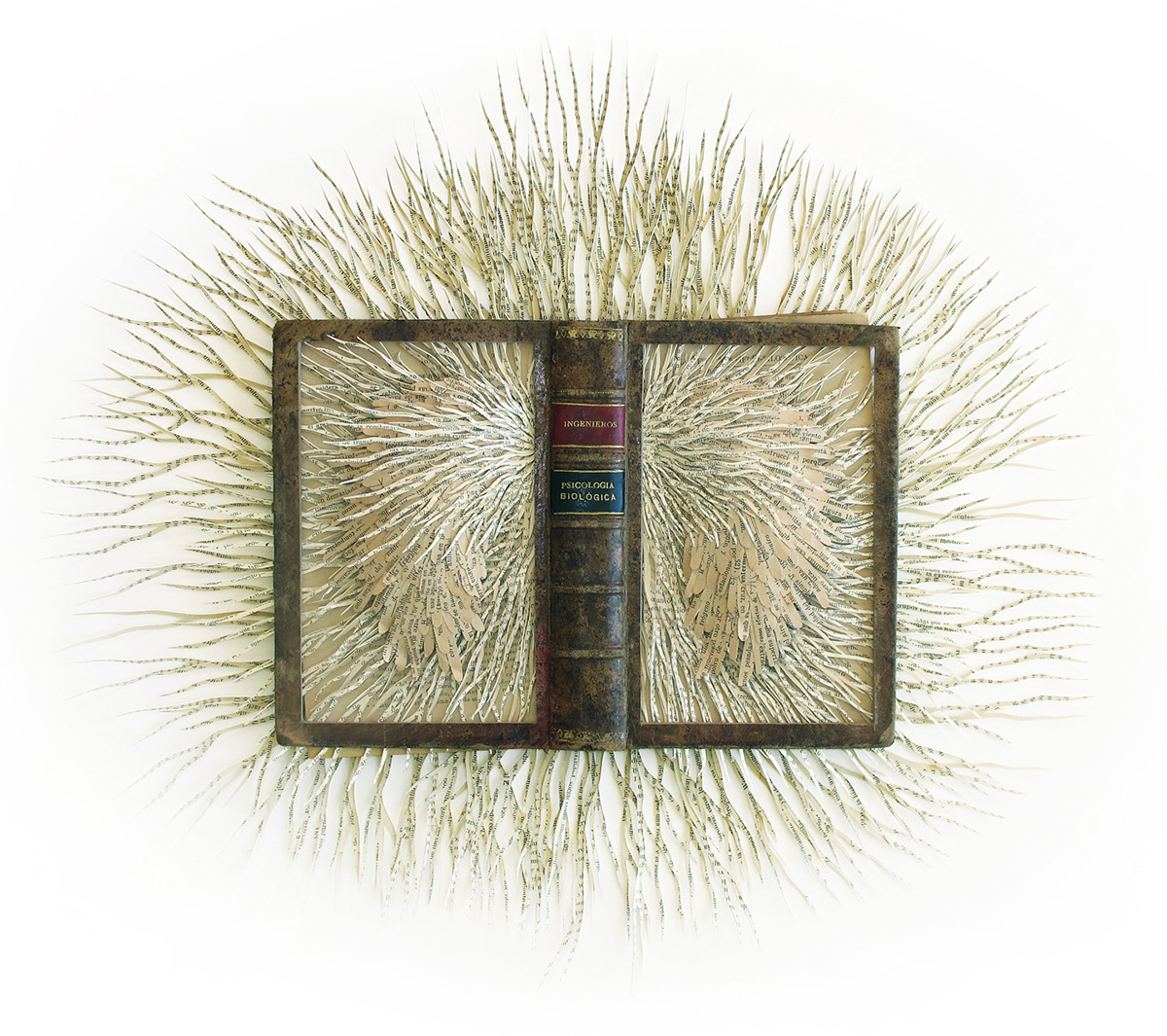 The Nervous Systems of Books