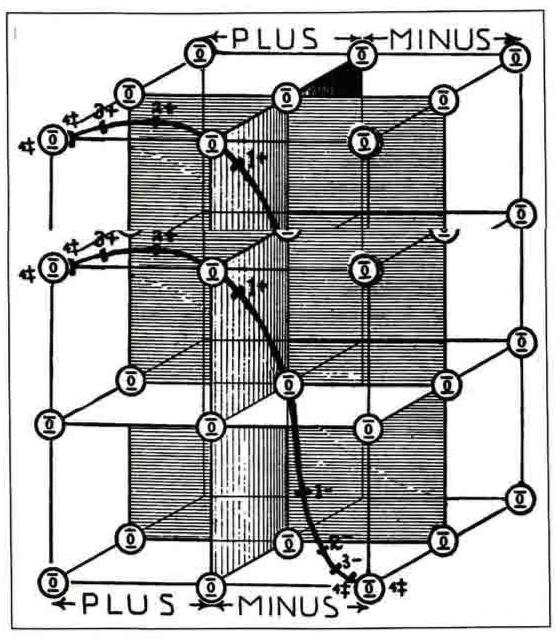 The Architect’s (Auto)biographer