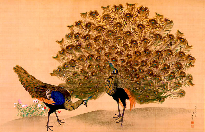 Okyo_Peacock_and_Peahen