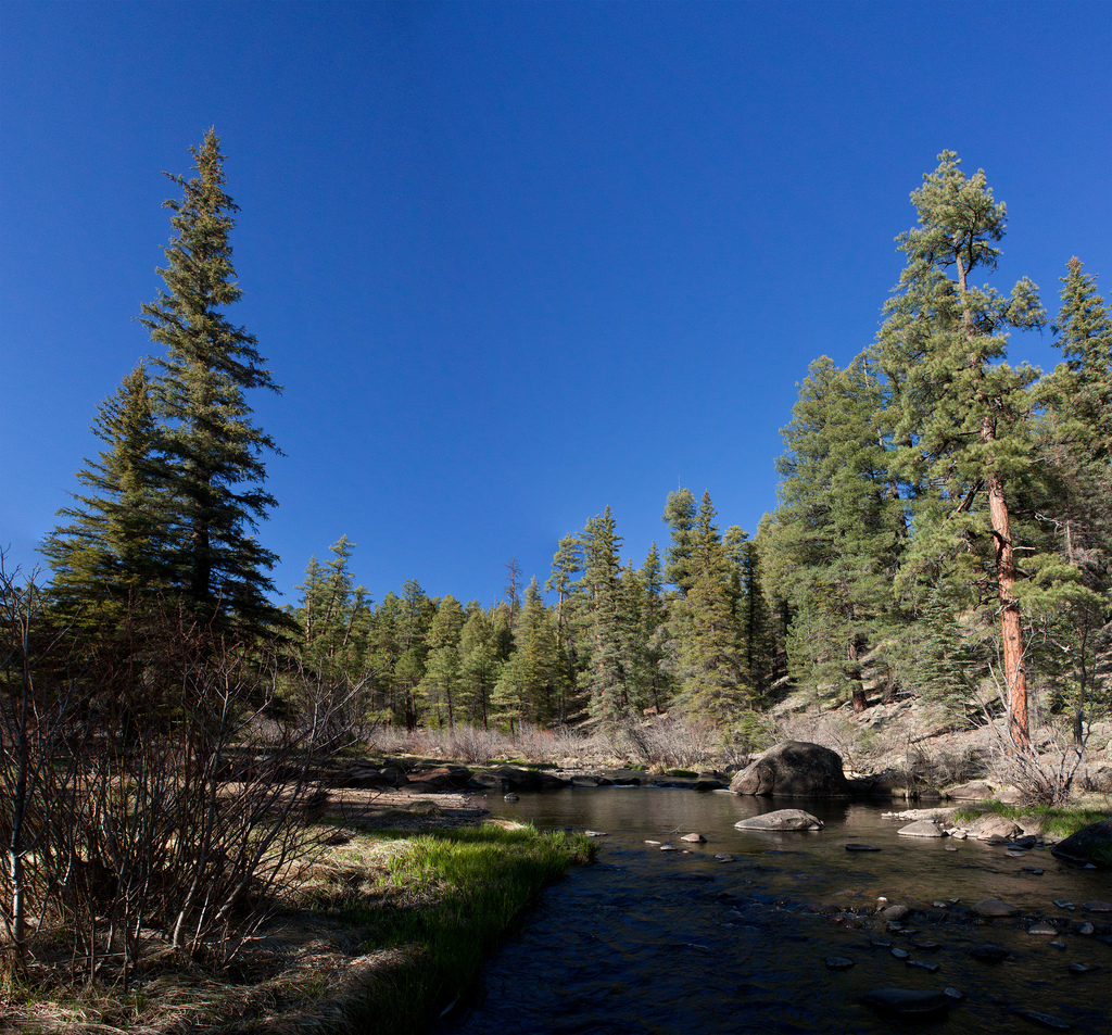 aldo leopold thinking like a mountain essay