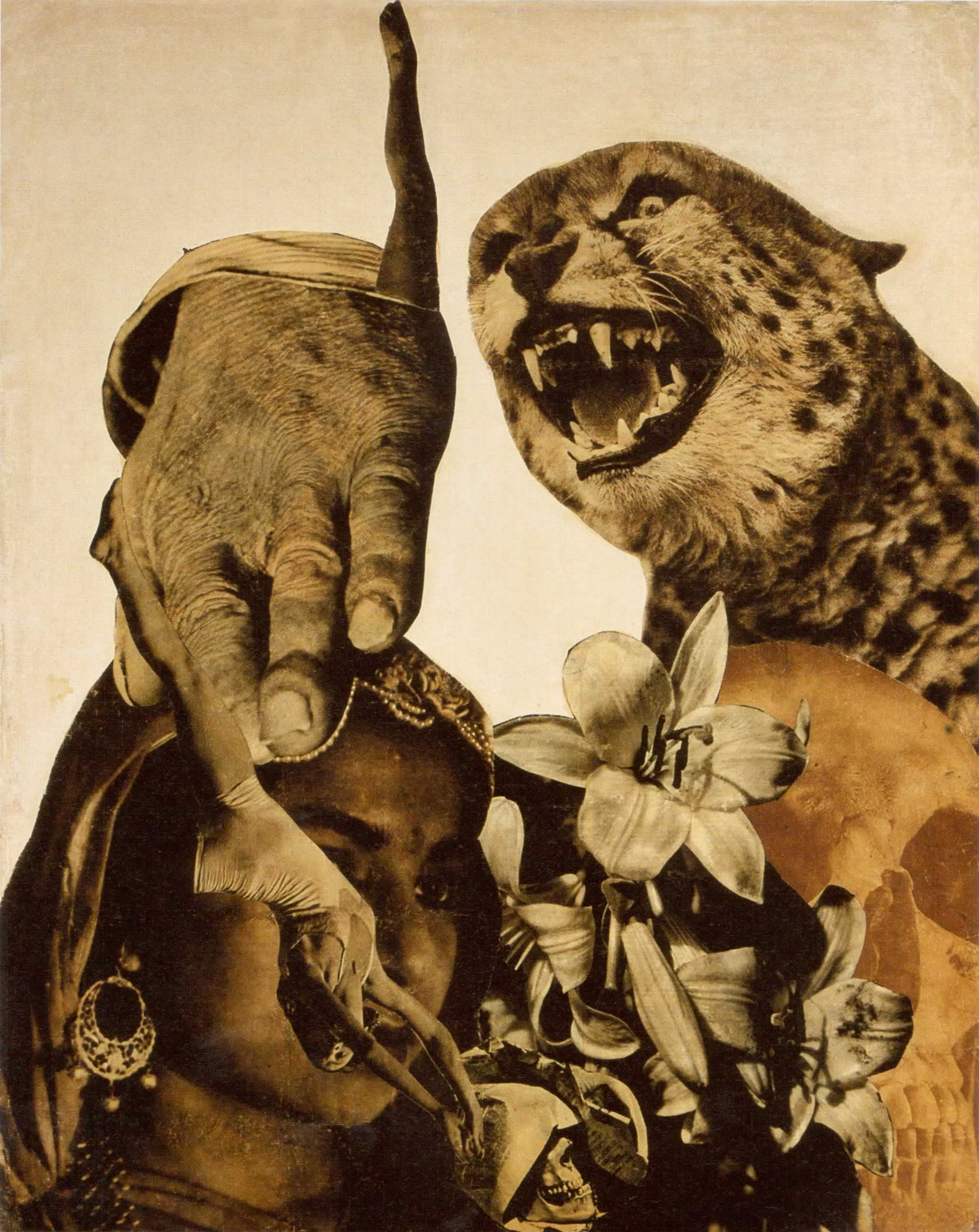 Parduc_es_liliom_1930-33