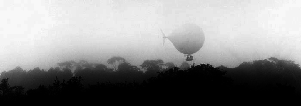 Lena Herzog, Airship above the canopy, 2004.