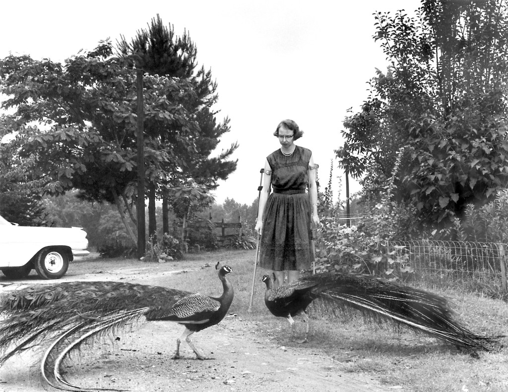 Joe McTyre/ Atlanta Constitution, Flannery O’Connor in the driveway at Andalusia, 1962.