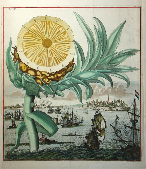 The Paris Review - The Strange History of the “King-Pine”