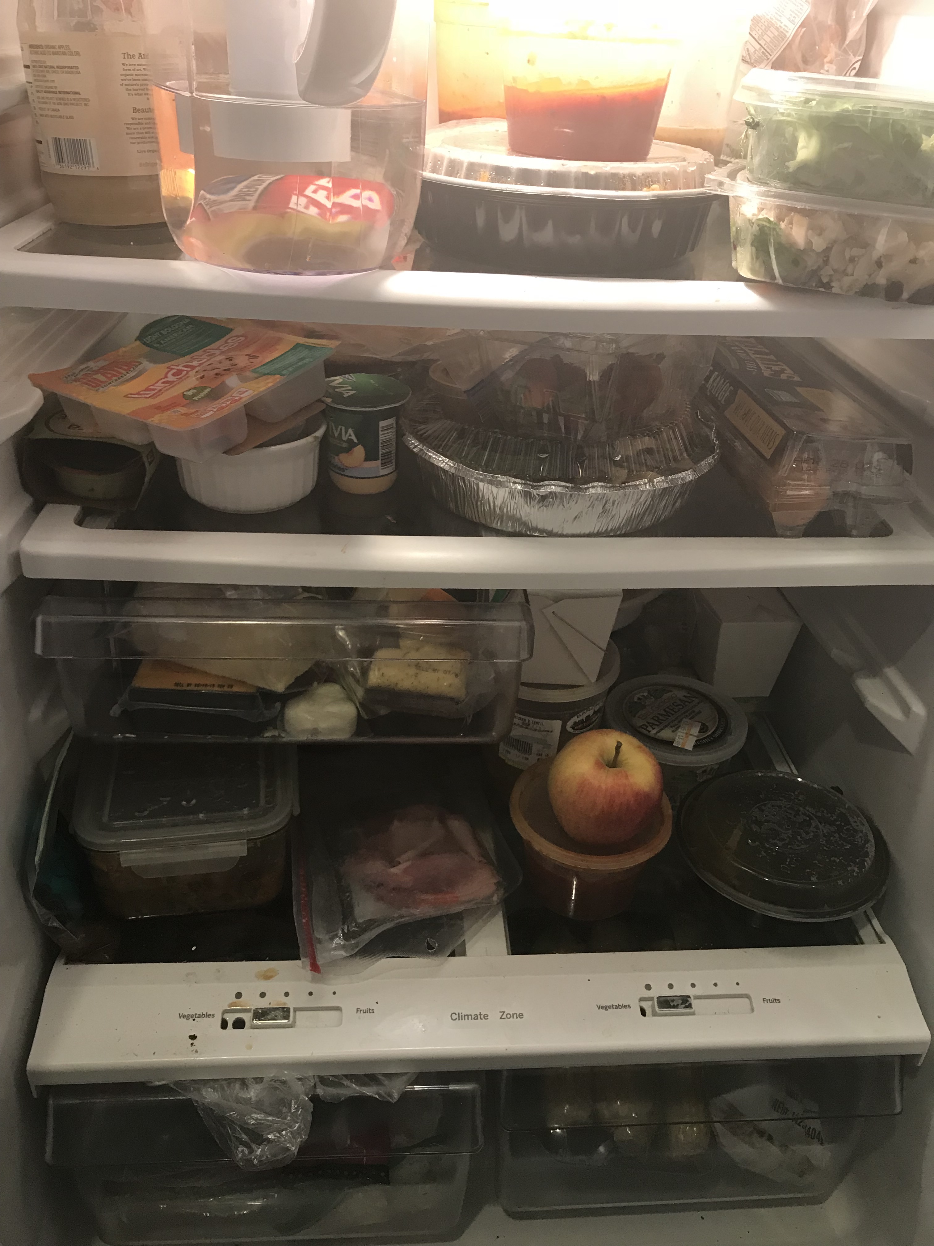 The Paris Review Writers’ Fridges Leslie Jamison