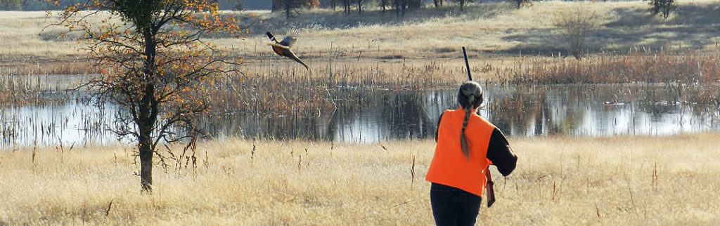 Utah Biologists Airlift Deer From Wild For Health Checkup