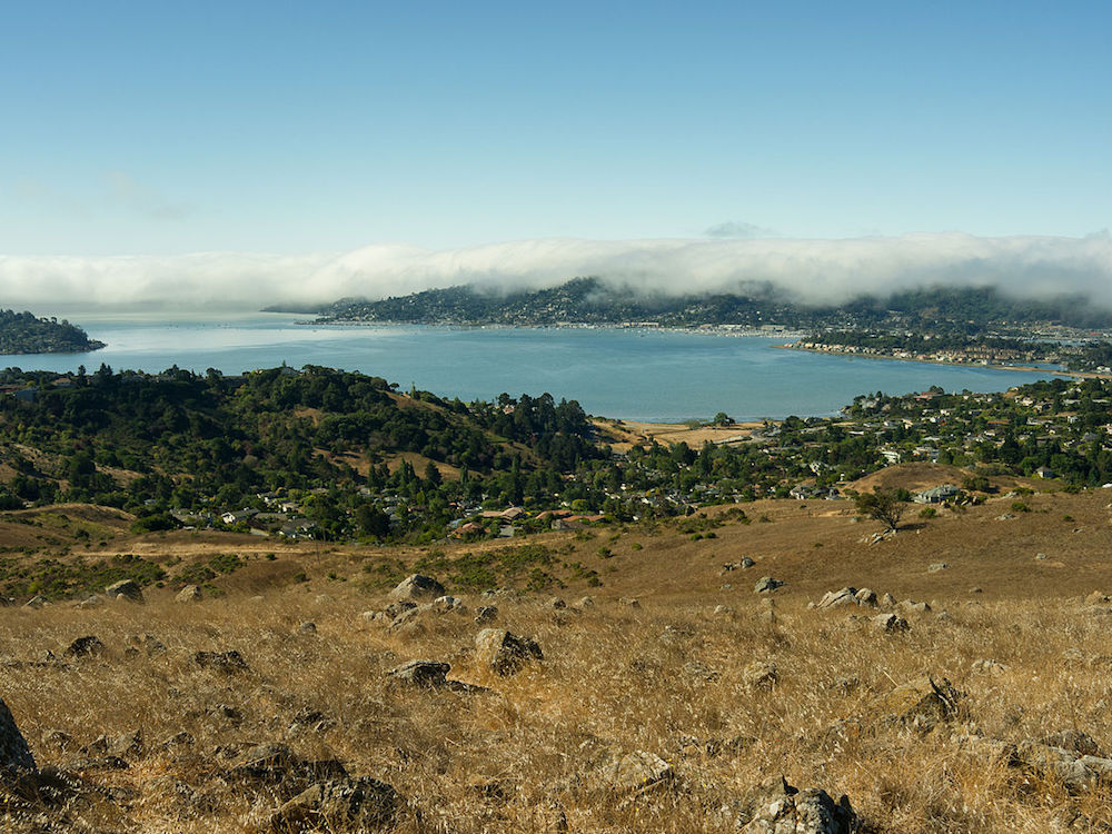 Green Plants Can Predict Volcanic Activity, New Study Shows