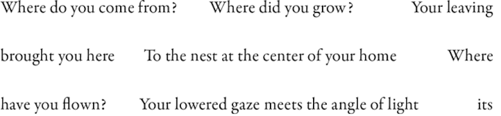 George Packer’s American Fables