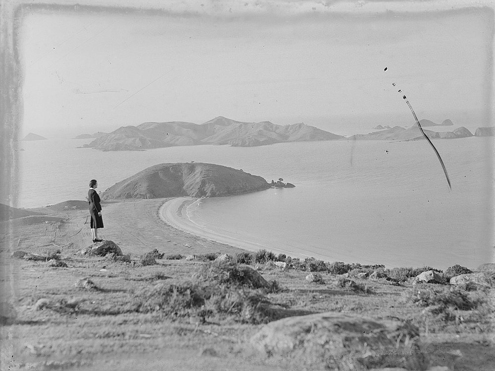 How a humble cockroach rewrote the history of New Caledonia