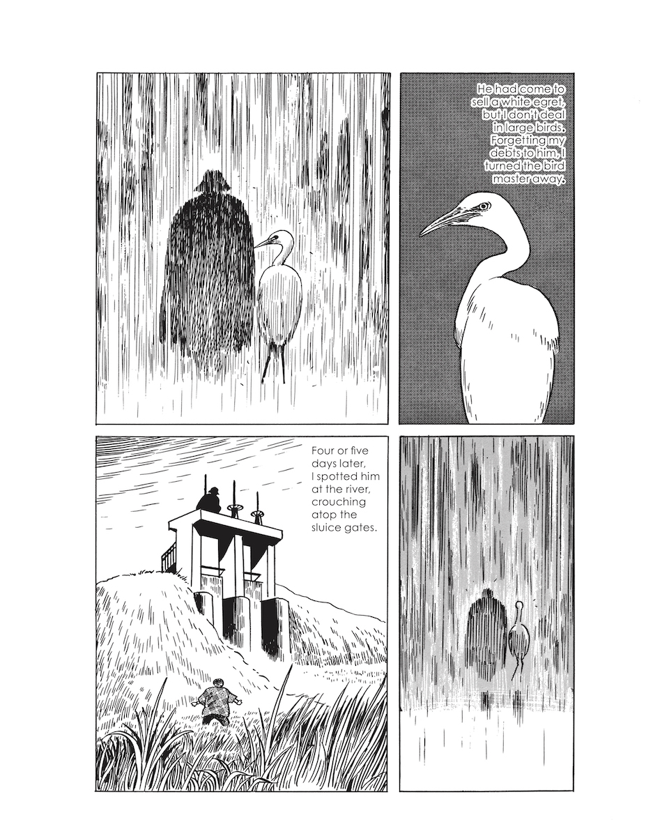 The Bird Master