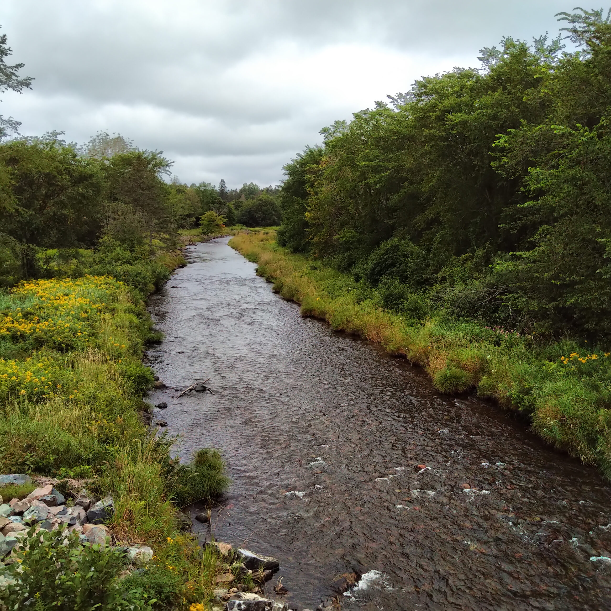 The Turbulent Stream - Way of the Wharves