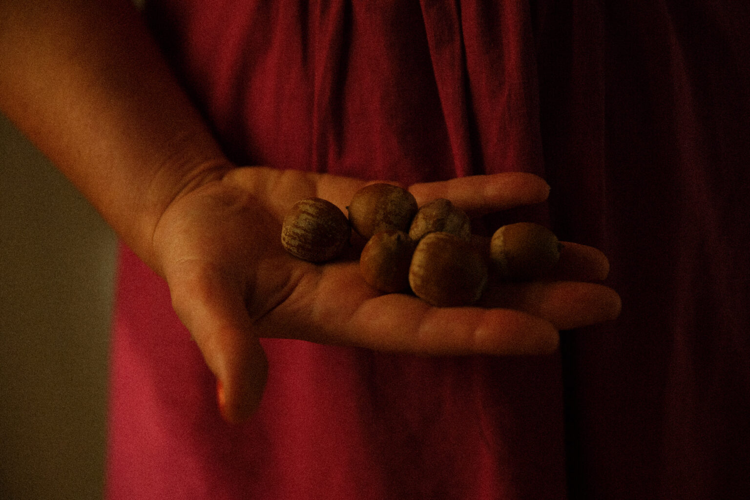Sinsayers Cooking with Dante Alighieri by Valerie Stivers